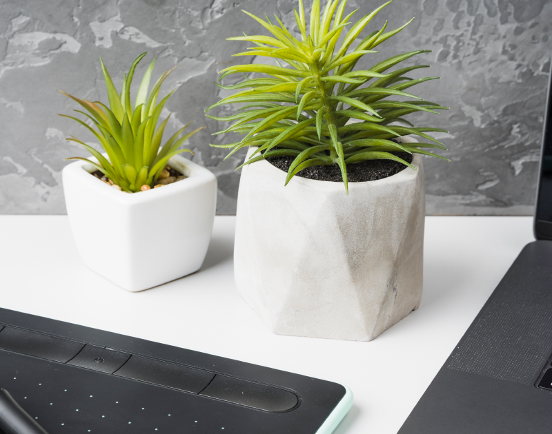 encourage employees to participate in sustainability initiatives at your workplace